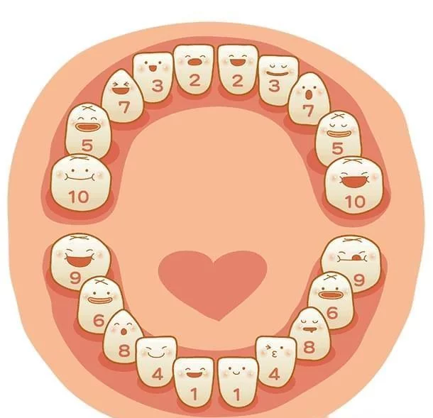 婴幼儿时期的口腔保健知识